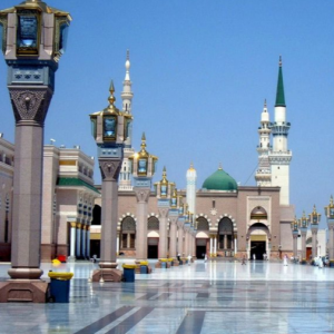 المدينة المنورة